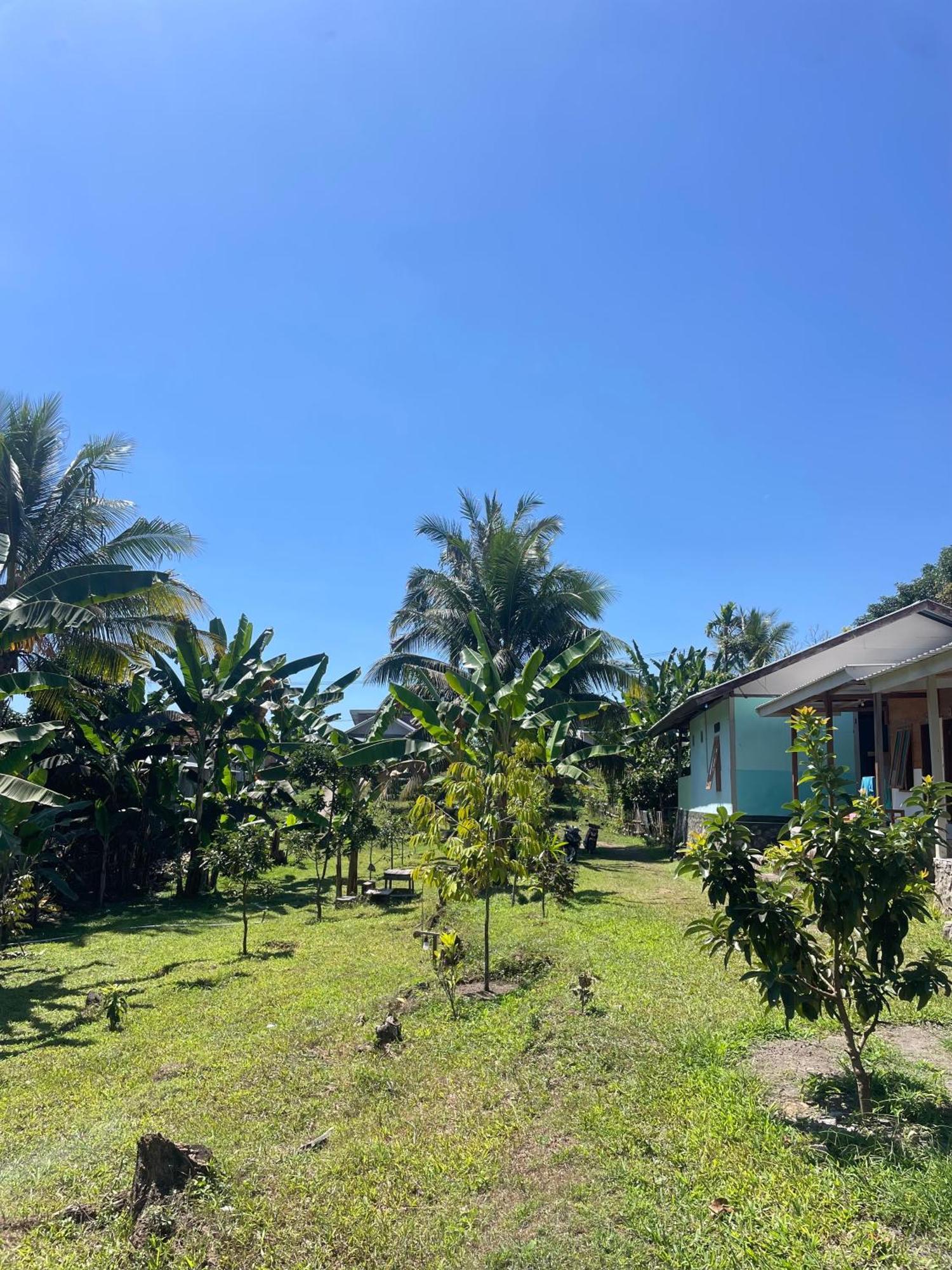 Senaru Garden Homestay Ngoại thất bức ảnh